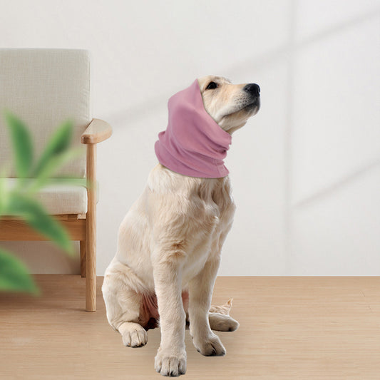 Dog wearing calming ear cover for anxiety relief
